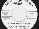 UK R&B Mod Freakbeat USA 45 - BOYS BLUE - You Got What I Want / Take A Heart