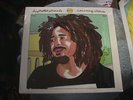 Counting Crows & Field Report ?– Daytrotter Presents No. 10 LP RECORD