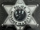 The Police Message In A Bottle Picture/Shape Single