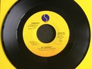 Ramones Pet Sematary USA 1-Track Promo 7