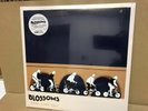 Blossoms cool like you 2 LP RSD 2019 new sealed