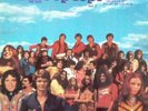 Various Pop Tops Vol. 2 LP Comp Vinyl Schallplatte 75795