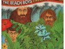 The Beach Boys Endless Summer 2xLP Comp Vinyl Schallplatte 122071