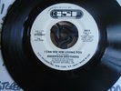 Anderson Brothers - I Can See Him Loving You (Northern Soul)