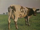 PINK FLOYD - ATOM HEART MOTHER - DE 70 - NM