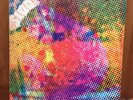 $100 Fine-Litter-Rare LP- VG- Sleeve VG record-S8-9203