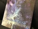 Poison The Well The Opposite of December vinyl record LP RARE hardcore