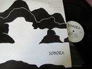 SONORA SELF TITLED LP RARE MICHIGAN ROCK SIGNED PRIVATE  NEAR MINT