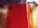 Nine Inch Nails - The Fragile [VINYL]