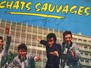 RARE 1er 25CM DICK RIVERS LES CHATS SAUVAGES 1961 DEDICACE AUTOGRAPHE ROCKABILLY