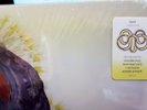BJORK LP x 2 Vulnicura DELUXE Edition + MP3 Downloads + ACETATE Artwork G.Fold