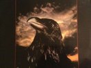 The Stranglers ?– The Raven UK1979 UAG30262 1e press excellent lp vinyl