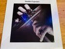 STEVEN WILSON / NO-MAN - DOUBLE EXPOSURE 2LP COMPILATION VINYL (PORCUPINE TREE)