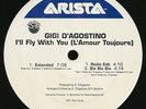 Gigi D'Agostino - I'll Fly With You - Vinile 33 Giri LP - Raro - Come Nuovo