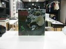 Lee Dorsey LP Europe Yes We Can 2018 180gr.audiophile Green Vinyl Limited Number