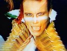 Adam & The Ants 