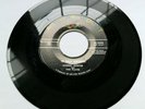 Cornel Gunter & the Flairs 45-In Self Defense/She Loves to Rock-ABC 45-9698 VG