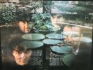 The Stranglers Strange Little Girl *SIGNED*