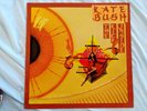 Kate Bush The Kick Inside Holland Pressing On Grey Vinyl Nice