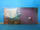 TAME IMPALA VINYL CURRENTS INNERSPEAKER PSYCHEDELIC ROCK RECORDS