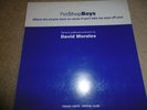 pet shop boys where the streets have no name rare 12