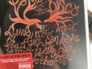 PANIC  AT THE DISCO 2006 SQUARE SHAPED PICTURE DISC VINYL LYING IS THE MOST FUN