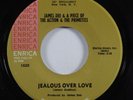 Sweet Deep Soul 45 JAMES DEE Jealous Over Love ENRICA VG+ HEAR