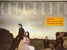 COCK ROBIN   disco LP 33 giri   MADE IN HOLLAND
