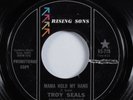 Deep Soul/Funk 45 TROY SEALS Mama Hold My Hand RISING SONS promo HEAR