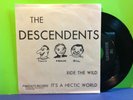Descendents , Ride the Wild 7