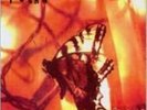 RODAN: RUSTY (LP vinyl *BRAND NEW*.)