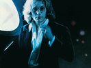 Warren Zevon **Warren Zevon (syeor Exclusive 2019) **NEW RECORD LP VINYL