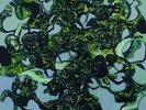 THE CARETAKER Everywhere At The End Of Time - Stage 3 LP NEW VINYL History Alwa