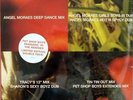 PANINARO '95 THE REMIXES   Pet Shop Boys  2xLP LIMITED EDITION SEALED
