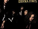 The Black Crowes SHAKE YOUR MONEY MAKER Debut Album 180g NEW SEALED VINYL LP