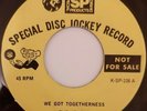 THE JEWELS - We Got Togetherness - MGM - US 45 - NORTHERN SOUL - 70's reissue