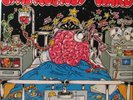EMERGENCY WARD Australian Marijuana Party LP 1979 SirH70