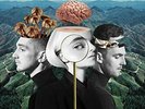 Clean Bandit-What Is Love VINYL NEW