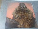 Sir Robin & The Longbowmen 2016 Krautrock LP self released Sealed