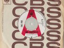 THE FOX - Mr Carpenter (RI)