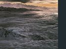 Santana - Moonflower vinyl LP NEW/SEALED IN STOCK