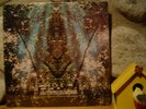 ARIEL KALMA Osmose LP/1978 France/Ambient Electronic/Terry Riley/Popol Vuh/NEW