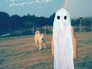 Phoebe Bridgers - Stranger In The Alps [VINYL]