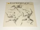 Experience - LP - Oh  What A Feeling - DE 1982 - PRIVATE ROOTS REGGAE - RARE