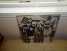Brad Shame UK LP Original Pearl Jam Soundgarden Brad Gossard