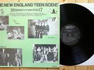 LP THE NEW ENGLAND TEEN SCENE garage punk PSYCH the new breeds COBRAS the mojos