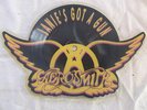 AEROSMITH janie's got a gun..SHAPE PICTURE DISC.GEFFEN-GEF 68P YEARS 1989