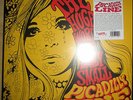NEU + OVP Limited Vinyl LP Picadilly Line ?– The Huge World Of Emily Small Psych