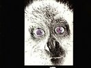 E.A. Poe ?– Generazioni (Storia Di Sempre)- LP IT 2004