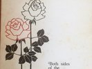 Vinyl records lp 1968  British folk  Both Sides of the Pennines 